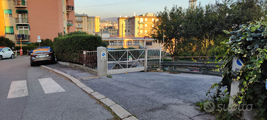 Due posti auto affiancati vendibili singolarmente