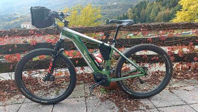 E-Bike MTB made in Germany