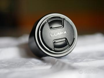 Panasonic Lumix G Vario 14-42mm f/3.5-5.6 ASPH