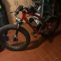 Fat bike elettrica