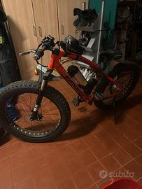 Fat bike elettrica