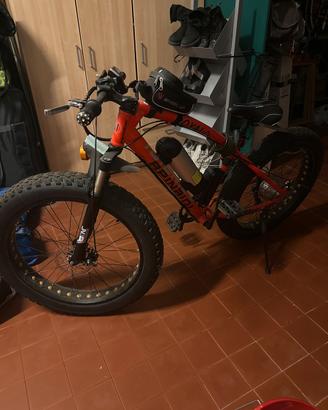 Fat bike elettrica