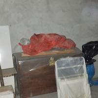 Varie tende baule macchina per imbottigliare