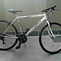 MTB Frejus 26"