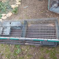Gabbia per conigli 