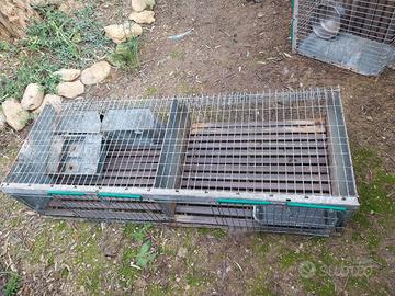 Gabbia per conigli 