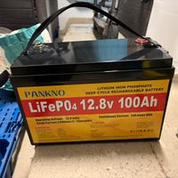 Fuoribordo elettrico