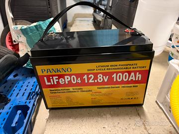 Fuoribordo elettrico