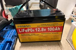 Fuoribordo elettrico