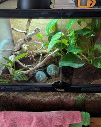 Terrario Terratlantis Completo