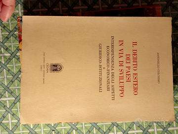 Colosimo: Il debito estero dei paesi in via di svi