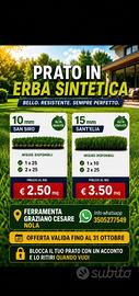 Prato sintetico  prestagionale 