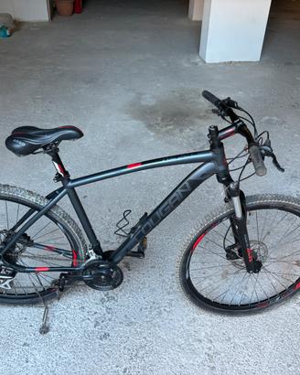 Mountain bike Lee Cougan 29”