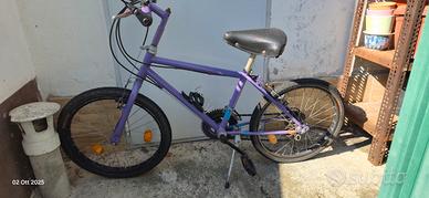 bicicletta ragazzo