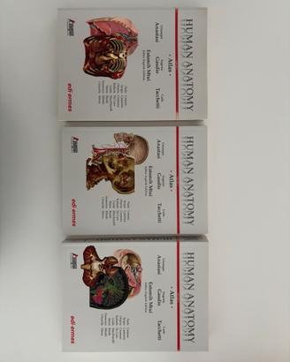 Atlante di Anatomia (Anastasi)