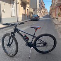 Bicicletta lombardo sestriere 270