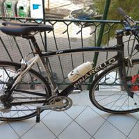 bicicletta pinarello treviso