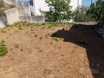 Villino indipendente