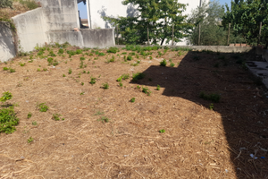 Villino indipendente