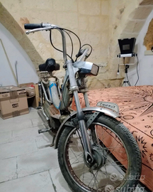 Ciclomotore Testi cricket