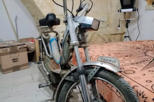 Ciclomotore Testi cricket