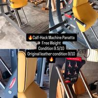 Calf-Hack machine Panatta