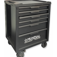 Cassettiera 228 Utensili 6 cassetti nuova