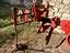 Immagine 2