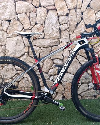 Mountain bike  Olympia F1