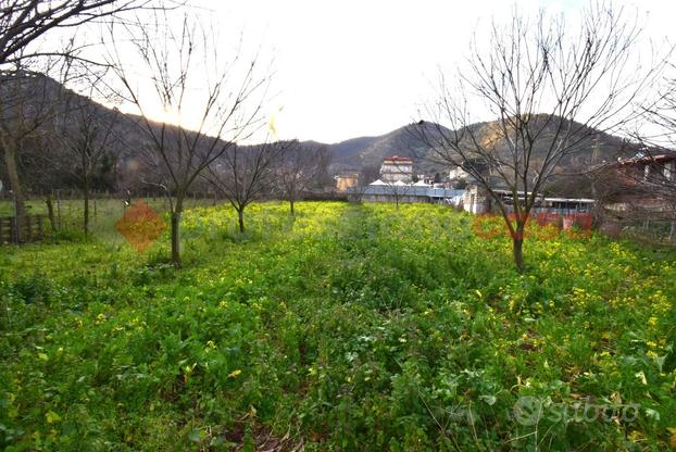 Terreno Agricolo Castel San Giorgio