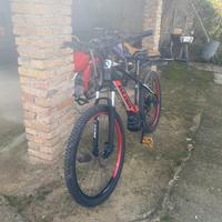 Bici elettrica atala