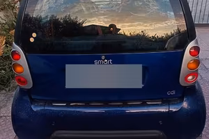 smart diesel800
