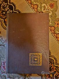 Uccelli di rovo + I giovedì della Signora Giulia