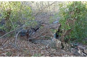 Terreno Agricolo Fabriano [A4283322]