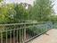 Immagine 26
