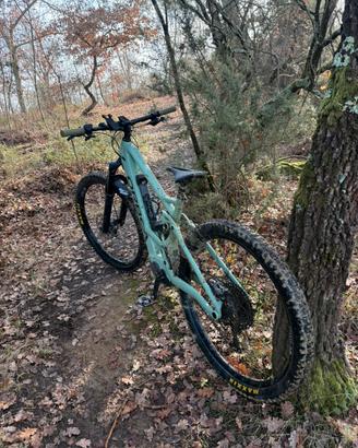 Orbea wild