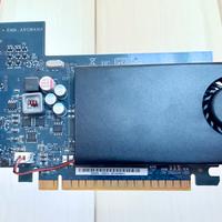 AMD Radeon HD 8490 1GB GDDR3 – Ideale per Ufficio