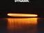 Immagine 9