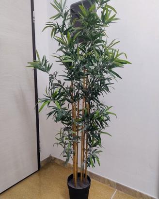 Pianta Bambù Artificiale