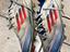 Immagine 5