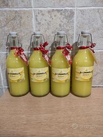 Liquori fatti in casa