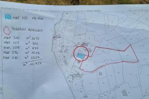 Terreno edificabile e terreno agricolo