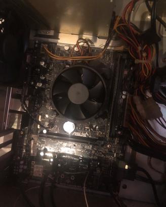 Scheda madre asus provessore i5