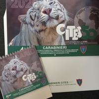 Calendario da parete e da tavolo