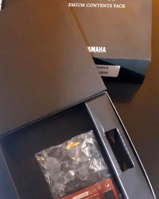 Flash Memory FL 1024 Yamaha