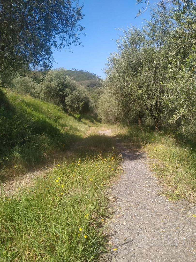 Terreni agricoli - Altro