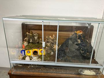 teca per rettili e ragni