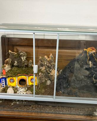 teca per rettili e ragni