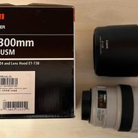Canon EF 70-300mm f/4.0-5.6 L IS USM