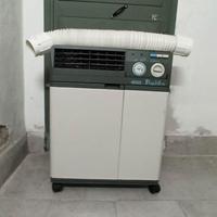 Condizionatore pinguino delonghi